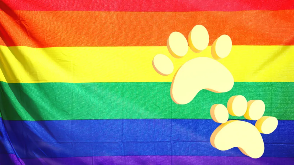 The Gay Bears FAQ 1 The Gay Bears FAQ